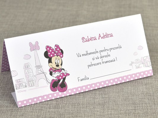 plic bani botez Disney 5728